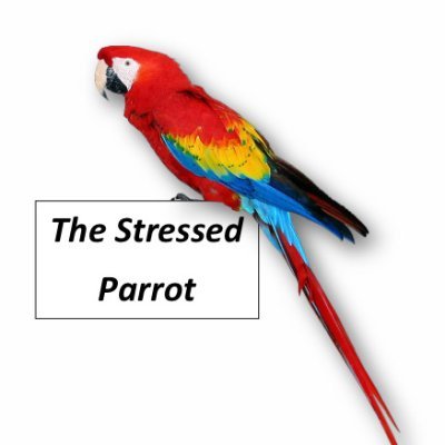 We write and record meditative short stories ideal for autistic children or ADHD. They are FREE to listen to on YouTube 🦜😊