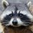 mooncoon69's profile image