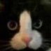 L (@l55804436) Twitter profile photo L (@l55804436) Twitter profile photo