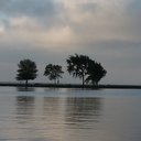 lichen lin - @lichen123 - Twitter