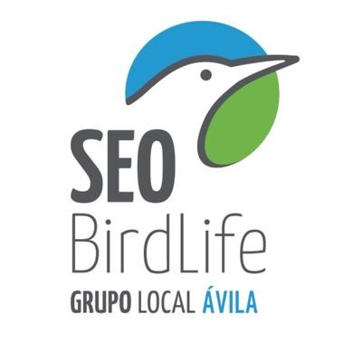 SEO-Ávila