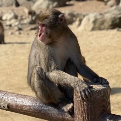 ExhKazim's profile picture. 筋トレとプラモが主な趣味の自由人です。 無言フォロー失礼します。積みプラなんとか減らしたい🥺