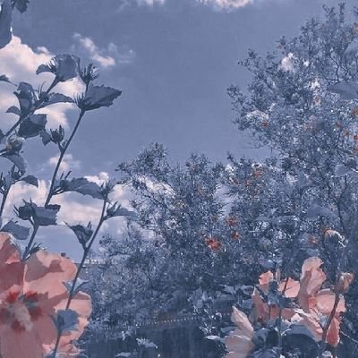keleki_x's profile picture. 
