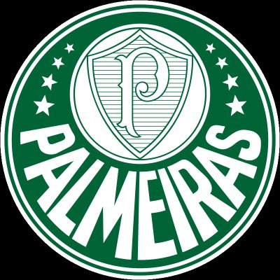 Palmeiras Campeão 💚