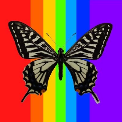YumetomoK's profile picture. 甲虫・鱗翅・その他なんでも!
好きな虫はツチハンミョウです