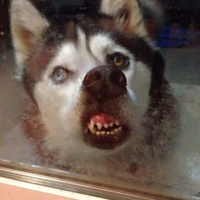 eessex86's profile picture. https://t.co/ag80F2qJvb
@tapioca_dao pearl club member
https://t.co/Md2cvJKMaW