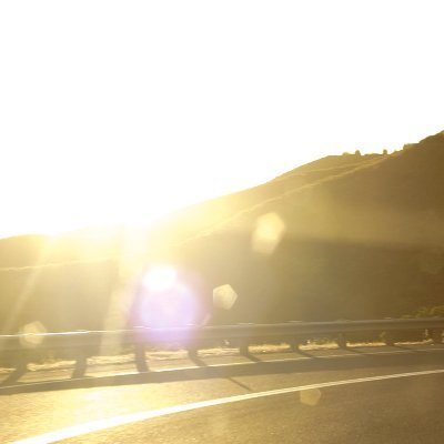 43rwgt43qtg's profile picture. 