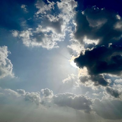 mob_camerawork's profile picture. Hey peeps! I follow mobile photography as a hobby. I'll be posting some of my clicks here