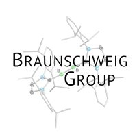 The Braunschweig Group(@LabBraunschweig) 's Twitter Profile Photo