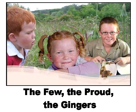 celticpride23's profile picture. why do i have so many dots? #gingerproblems