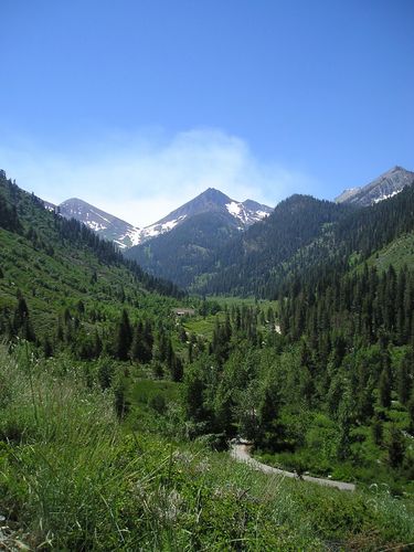 ginnieday_1's profile picture. MPH, CHES
Advocate for Healthy Lifestyles  through approaches that create healthier communities.