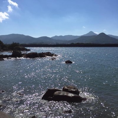 noguchan_san's profile picture. 