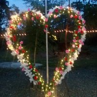 Gigi30ᴬᴰᴺ ☘⚘💚 (@gigi83069) 's Twitter Profile