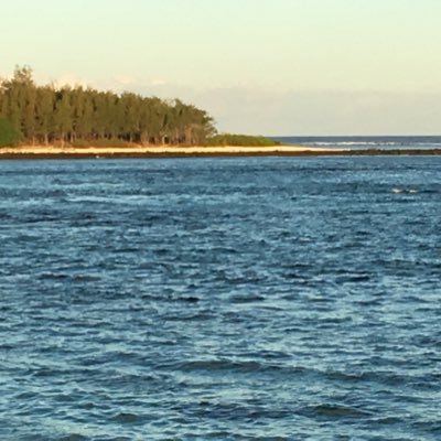 rinsya's profile picture. Financial and Commodity Markets, Market Structures, FinTech, Personal Finance