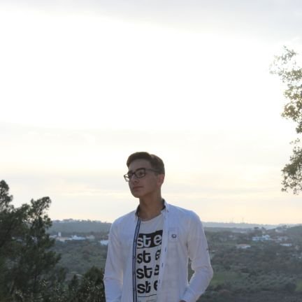 diogoreis110's profile picture.