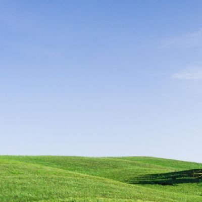 AnmaryFranco's profile picture. 