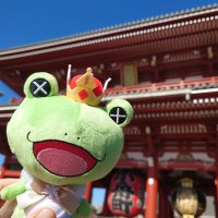 ケロケロ (@kerokero_kae) 's Twitter Profile Photo