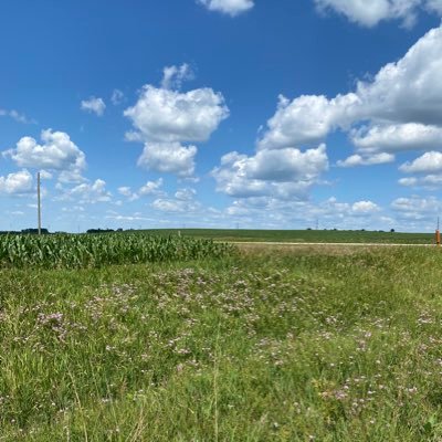 LMalingen's profile picture. 