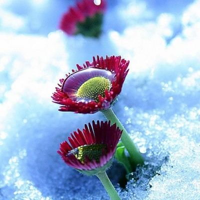 XanPenelope's profile picture. 