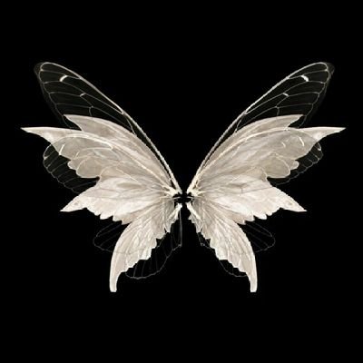 cjezeee's profile picture. kenal emang?