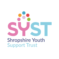 SYST (@systbusiness) 's Twitter Profile