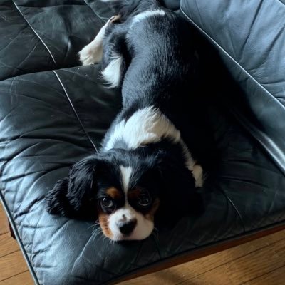 sh4_hoei's profile picture. あなたがいた　だから名曲