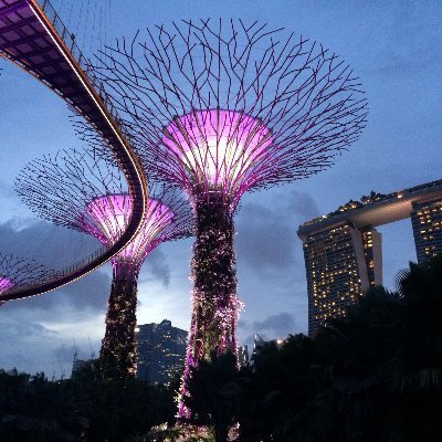 AuroraBright11's profile picture. #Exploring art#Speak through art#Happy just being me