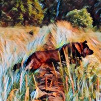 BellaNova Loopette69.loopring.eth (@loopette69) 's Twitter Profile Photo