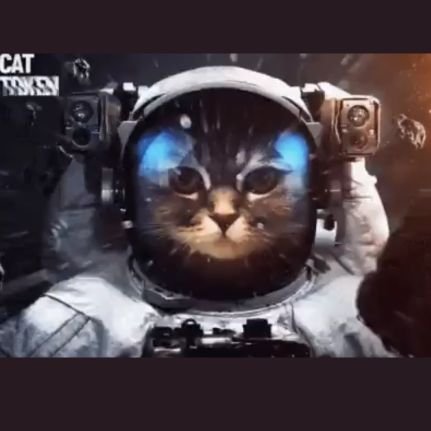 Maritime_HKY's profile picture. 1.Just for shit and giggles 💩2.Auto-pilot in stocks(#Tesla= 420 Billion's)
3.The Blackberry, the initech in tech, $BB= 100$🤪 ICYMI...
#🚀to the moon Fluffy 🌙