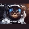 Maritime_HKY's profile picture. 1.Just for shit and giggles 💩2.Auto-pilot in stocks(#Tesla= 420 Billion's)
3.The Blackberry, the initech in tech, $BB= 100$🤪 ICYMI...
#🚀to the moon Fluffy 🌙