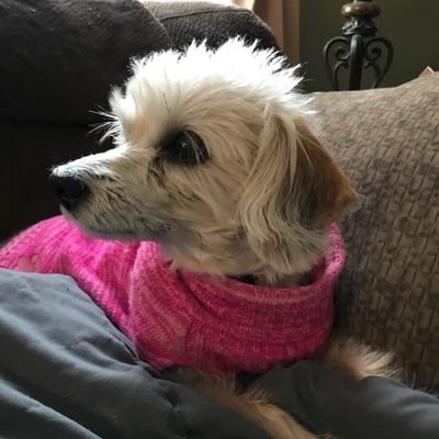 RichardBruni7's profile picture. 