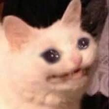 N3rdR1der's profile picture. 