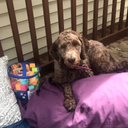 Lori Walbridge - @walbridge_lori - Twitter