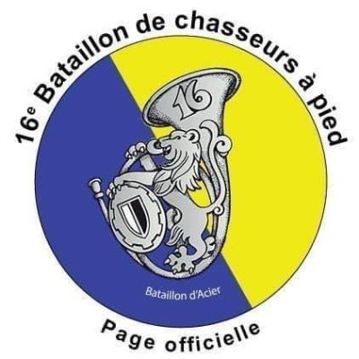 Compte officiel du 16e bataillon de chasseurs à pied
Bataillon d'Acier