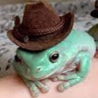 Walker Christopher (@c40895594) 's Twitter Profile