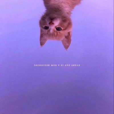 oh my goodness🥺