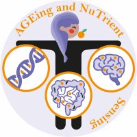 AGEing and Nutrient Sensing (AGENTS) Network(@AgeingNetwork) 's Twitter Profile Photo