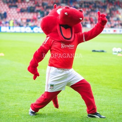 Life long Wrexham fan and season ticket holder that’s about as interesting as I am 👍