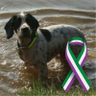 Charlie67830260's profile picture. Adult Human Female. Part of the Resistance