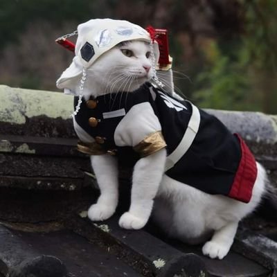 livingin_a_blur's profile picture. :¨·.·¨:
 `·. Dump.