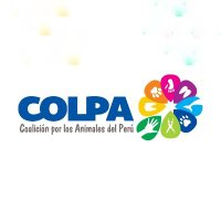 Coalición por los Animales del Perú - COLPA(@leycuatropatas) 's Twitter Profile Photo