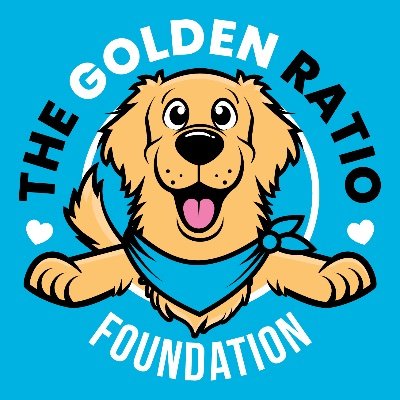 A non-profit dedicated to improving the lives of golden retrievers and their friends