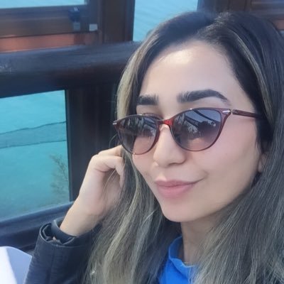 _demetdag's profile picture. Engineer