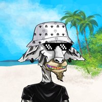 Frankie V (@frankev98) 's Twitter Profile