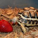 Meredith Root - @mereroot - Twitter