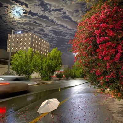 kallldd556's profile picture. 