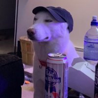 AJ (@aj_scott23) 's Twitter Profile