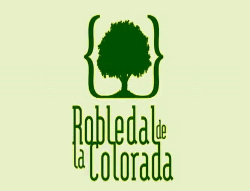 Robledaldelacol's profile picture. 