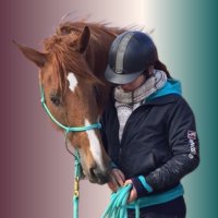 AnnSo (@jaiponey_blog) 's Twitter Profile