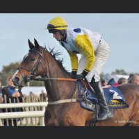 Eoin Mahon (@eoinmahon5) 's Twitter Profile